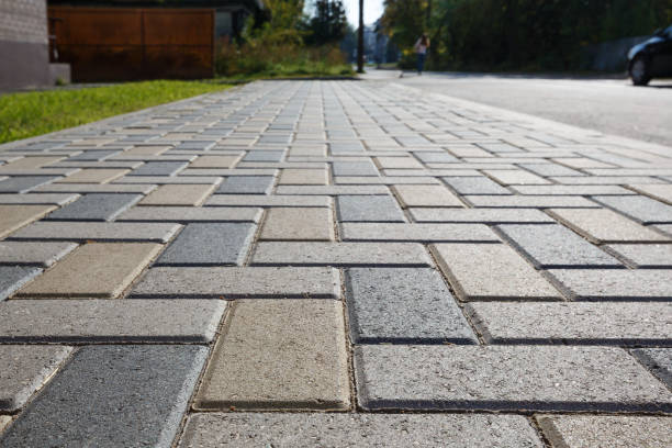 Best Professional Driveway Pavers  in Westchase, FL