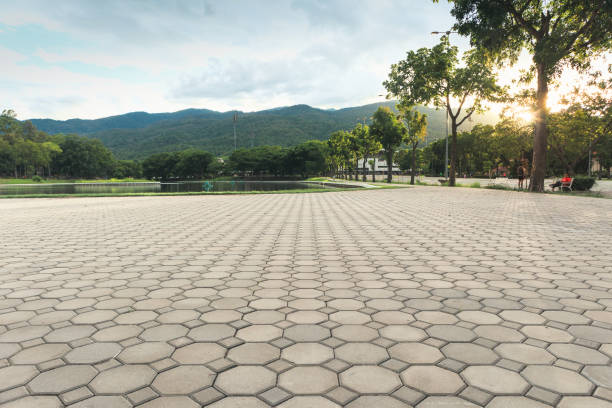 Trusted Westchase, FL Driveway Pavers Experts